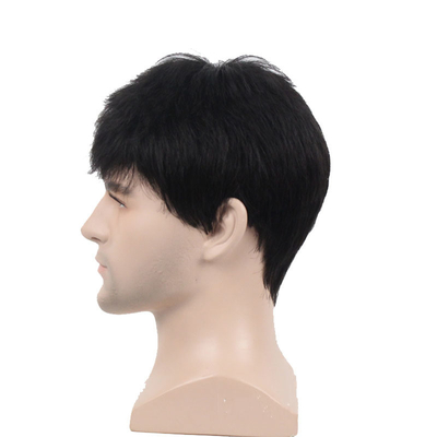 250g~450g 男性用 人髪 パーク 長さ6インチ メーカー直送