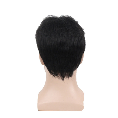 250g~450g 男性用 人髪 パーク 長さ6インチ メーカー直送