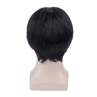250g~450g 男性用 人髪 パーク 長さ6インチ メーカー直送